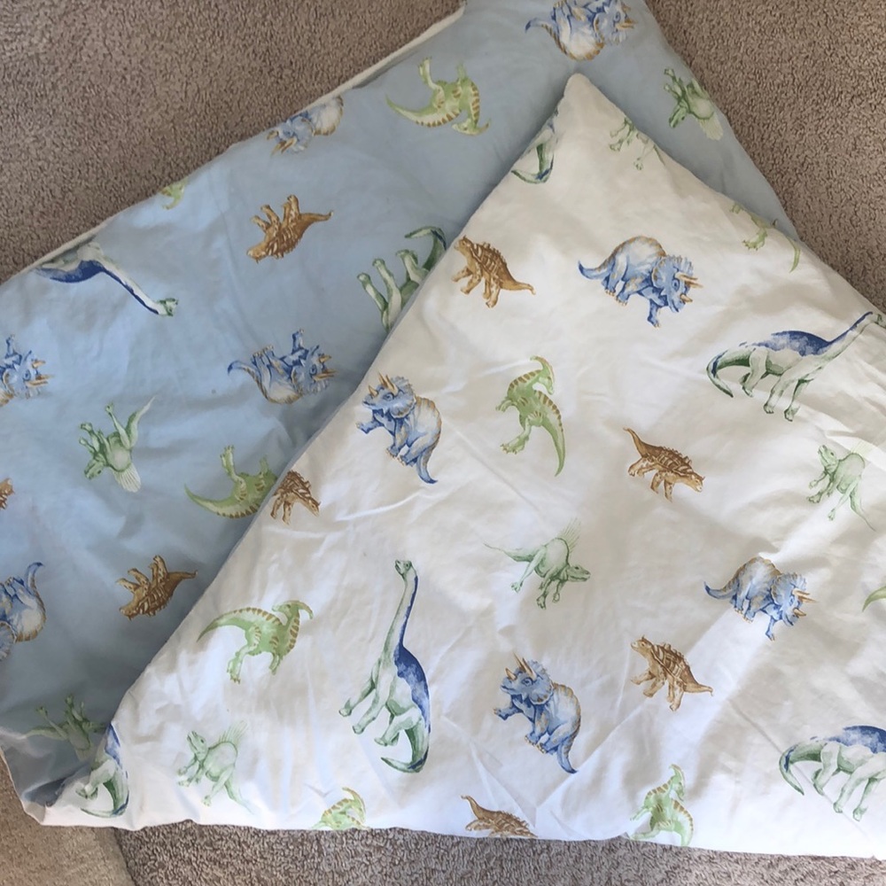 47x32 Double Sided Crib Duvet and Down Insert